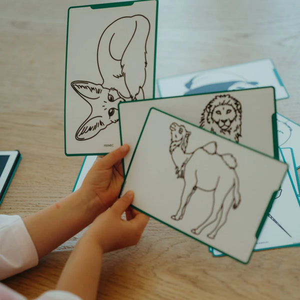 Náplňové karty – Kidydraw Mini – Zvířata světa / Oceán a piráti (60 ks)