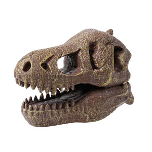 Dinosaurier-Schädelmuseum - Tyrannosaurus - Tublu.de