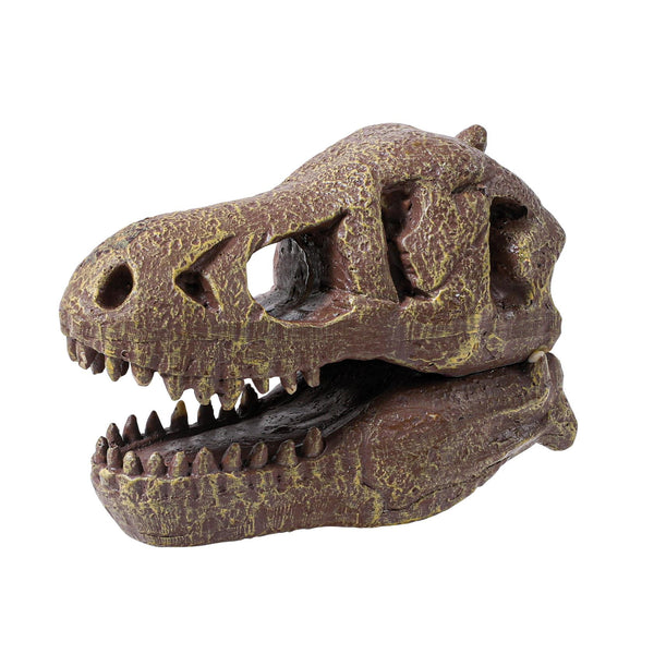 Dinosaurier-Schädelmuseum - Tyrannosaurus - Tublu.de