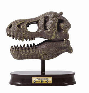 Dinosaurier-Schädelmuseum - Tyrannosaurus - Tublu.de