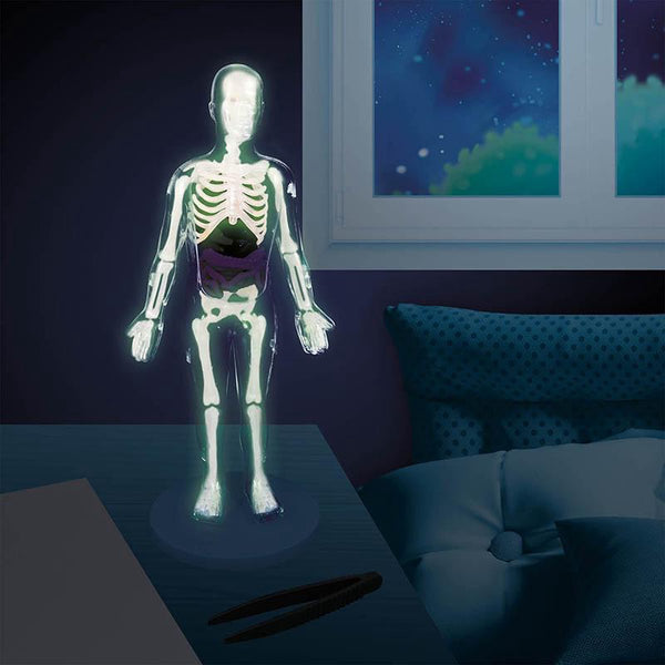 Experimentiersatz - Menschlicher Körper - Tublu.de