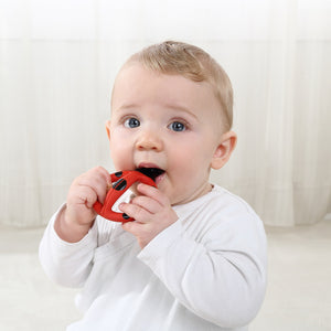 Trainingszahnbürste – Marienkäfer Dori 3–8 Monate - Tublu.de