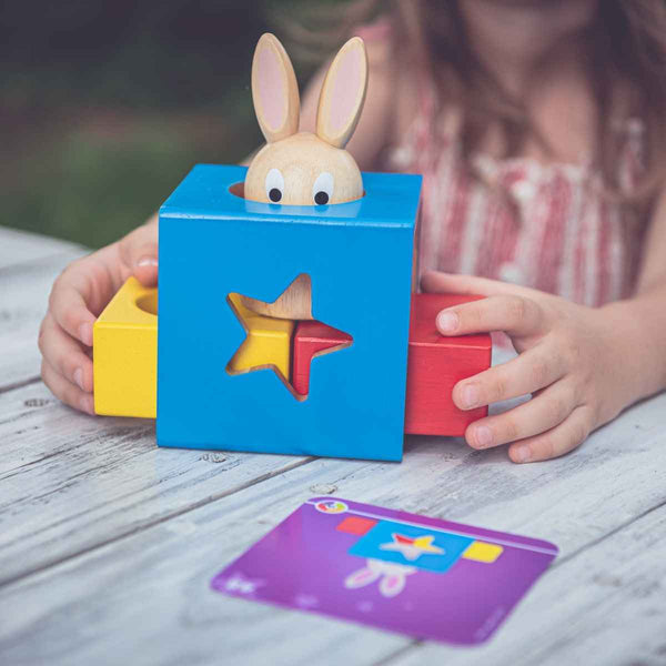 Gra logiczna Smart Games - Bunny Boo