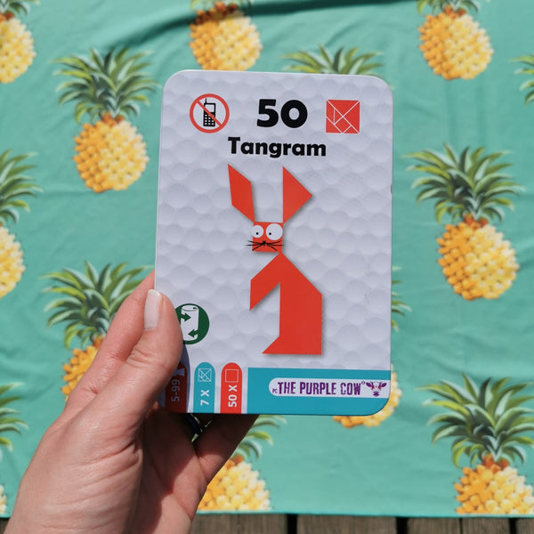Cestovní rébusy – 50 Tangram