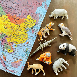 Figurenset in einer Tube TOOB – Tiere Asiens - Tublu.de