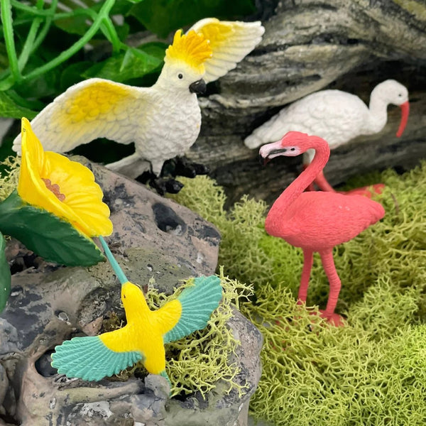Figurenset in einer Tube TOOB – Exotische Vögel - Tublu.de
