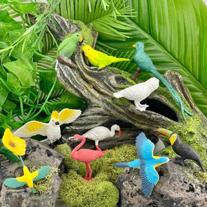 Figurenset in einer Tube TOOB – Exotische Vögel - Tublu.de