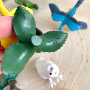 Figurenset in einer Tube TOOB – Exotische Vögel - Tublu.de