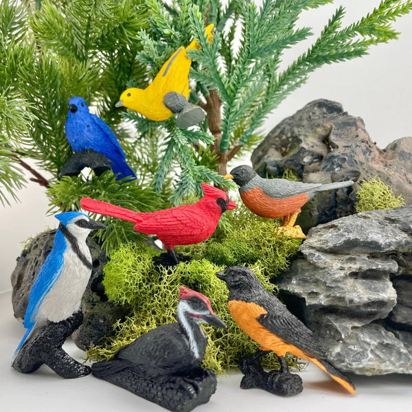 Figurenset in einer TOOB-Röhre – Gartenvögel - Tublu.de