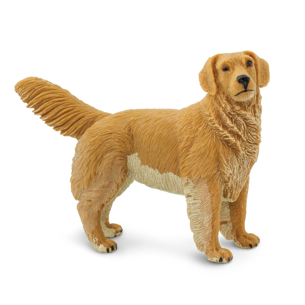 Figur – Golden Retriever - Tublu.de