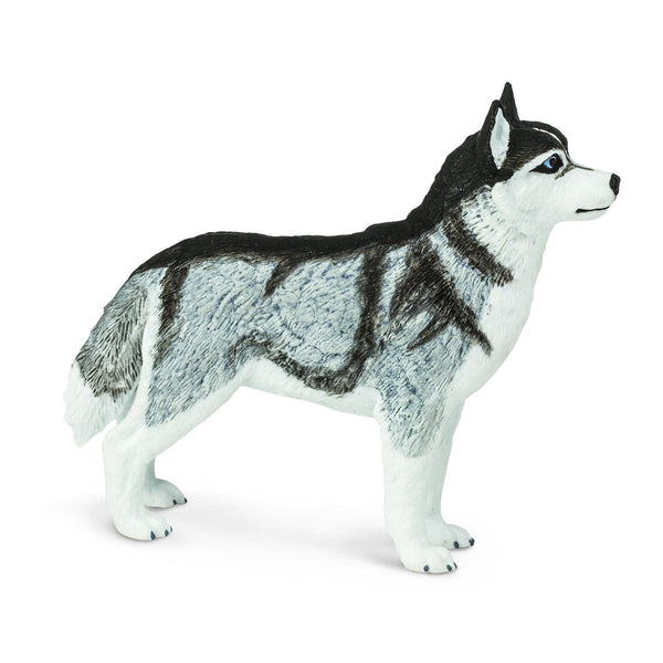 Figur – Siberian Husky - Tublu.de
