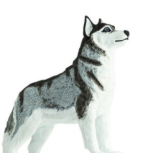 Figur – Siberian Husky - Tublu.de