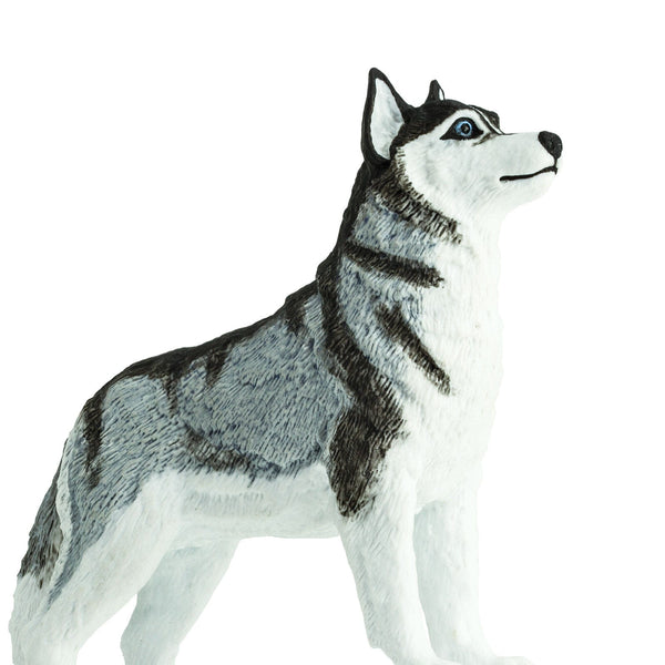 Figur – Siberian Husky - Tublu.de