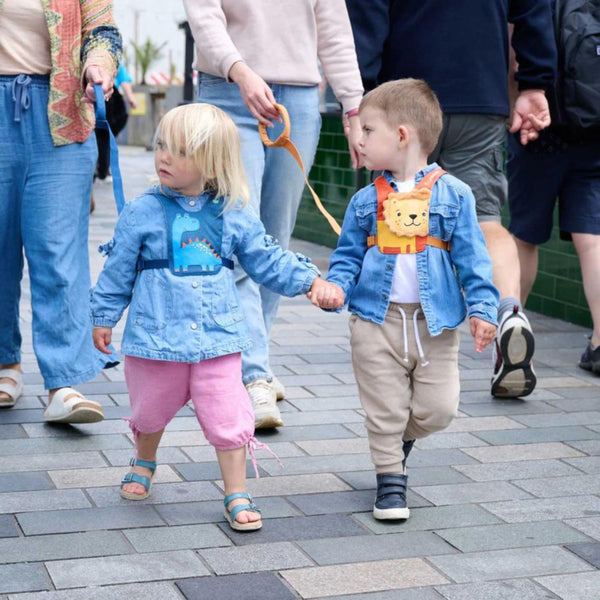 Bezpečnostní vodítko – Lev