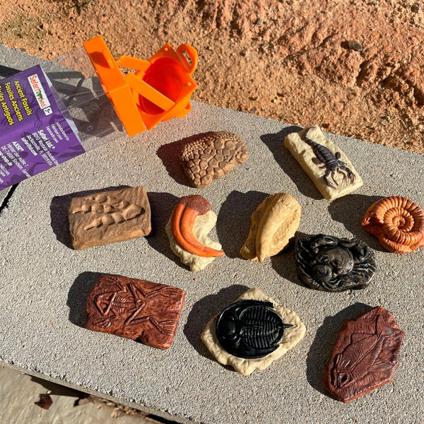 Figurenset in einer Tube TOOB – Fossilien - Tublu.de