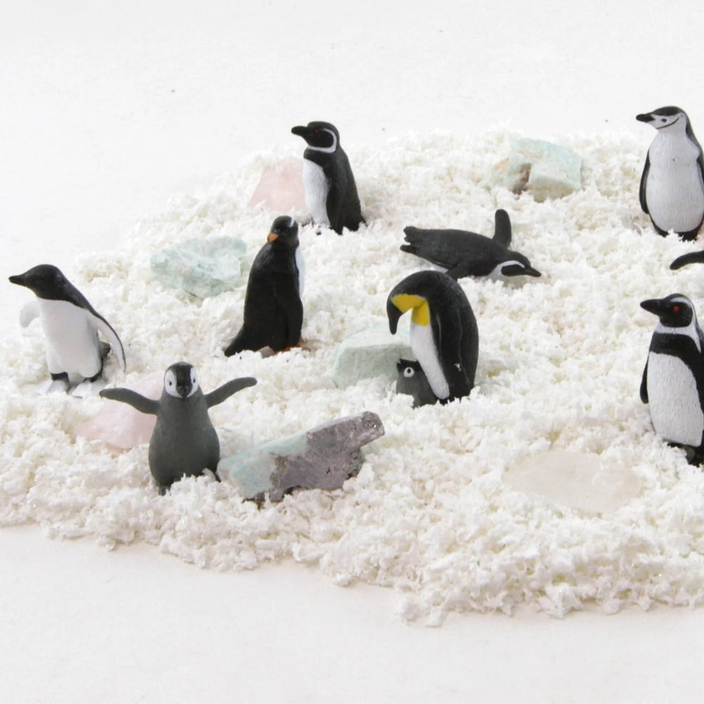 Figurenset in einer TOOB-Röhre – Pinguine - Tublu.de