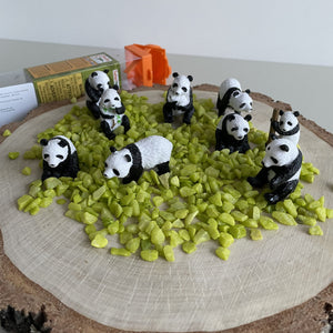 Figurenset in einer Tube TOOB - Pandas - Tublu.de