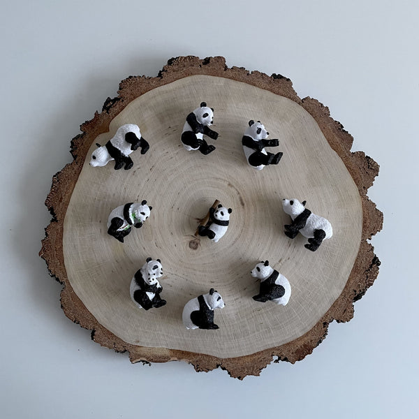 Figurenset in einer Tube TOOB - Pandas - Tublu.de