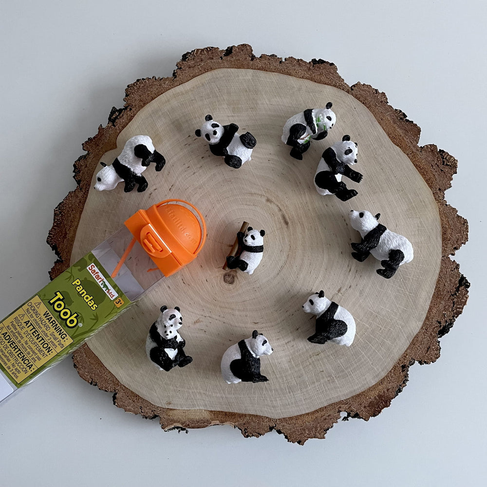 Figurenset in einer Tube TOOB - Pandas - Tublu.de
