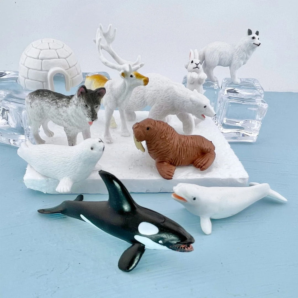 Figurenset in einer Tube TOOB – Tiere der Arktis - Tublu.de
