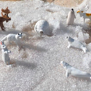 Figurenset in einer Tube TOOB – Tiere der Arktis - Tublu.de