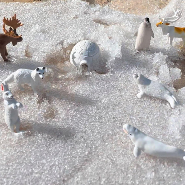 Figurenset in einer Tube TOOB – Tiere der Arktis - Tublu.de