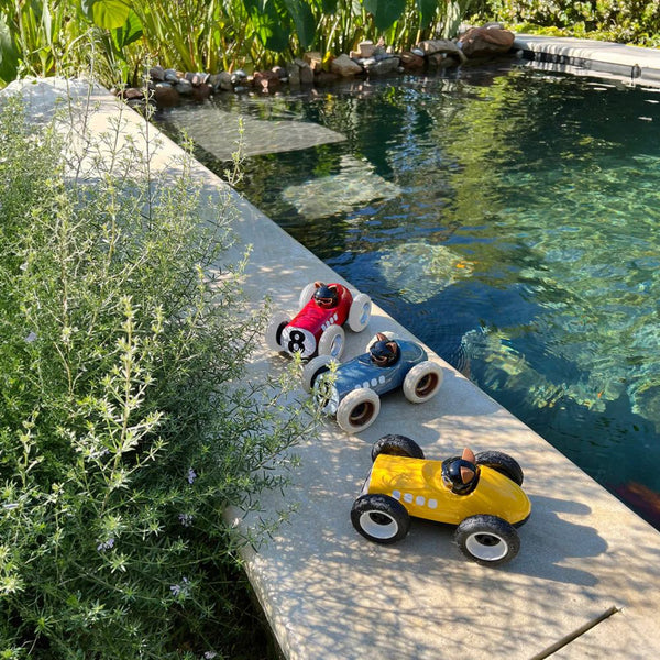 Roadster Egg – Sunnysider