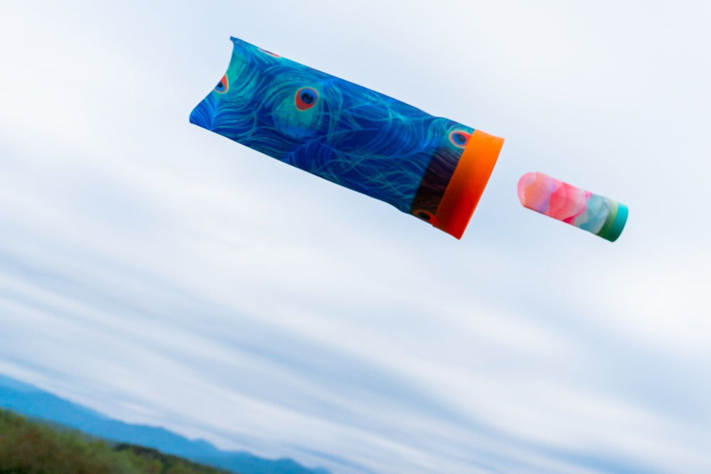 Vrhací raketa Airlyft – Rainbow Zebra