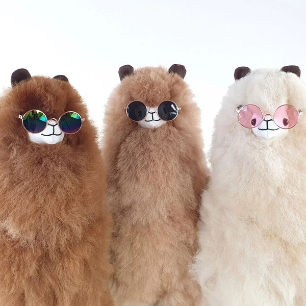 Brille für Alpakas – Smokey - Tublu.de