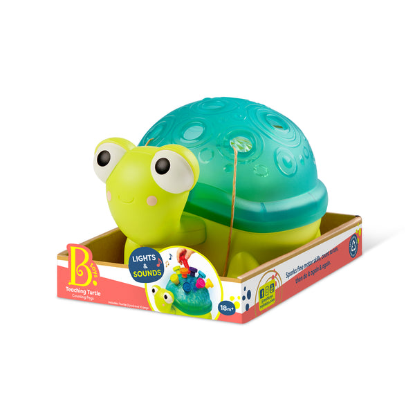 Interaktivní vzdělávací želva – učení počítání a barev – Teaching Turtle Green