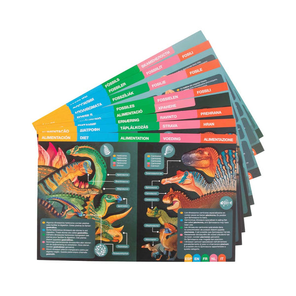 Magnetické vzdělávací puzzle s kartami – Dino