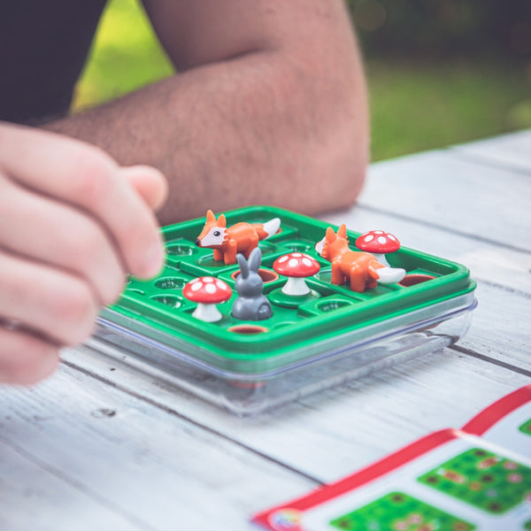 Logická hra Smart Games – Hop do nory (PL)