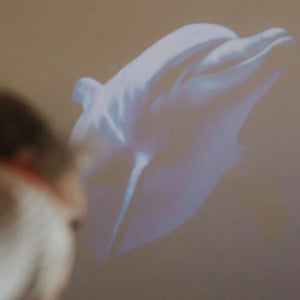Otočný projektor – Oceán