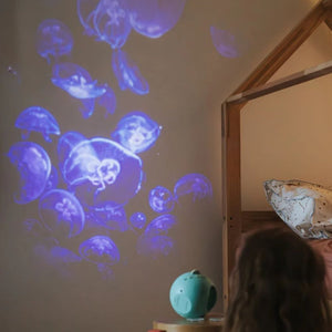 Otočný projektor – Oceán