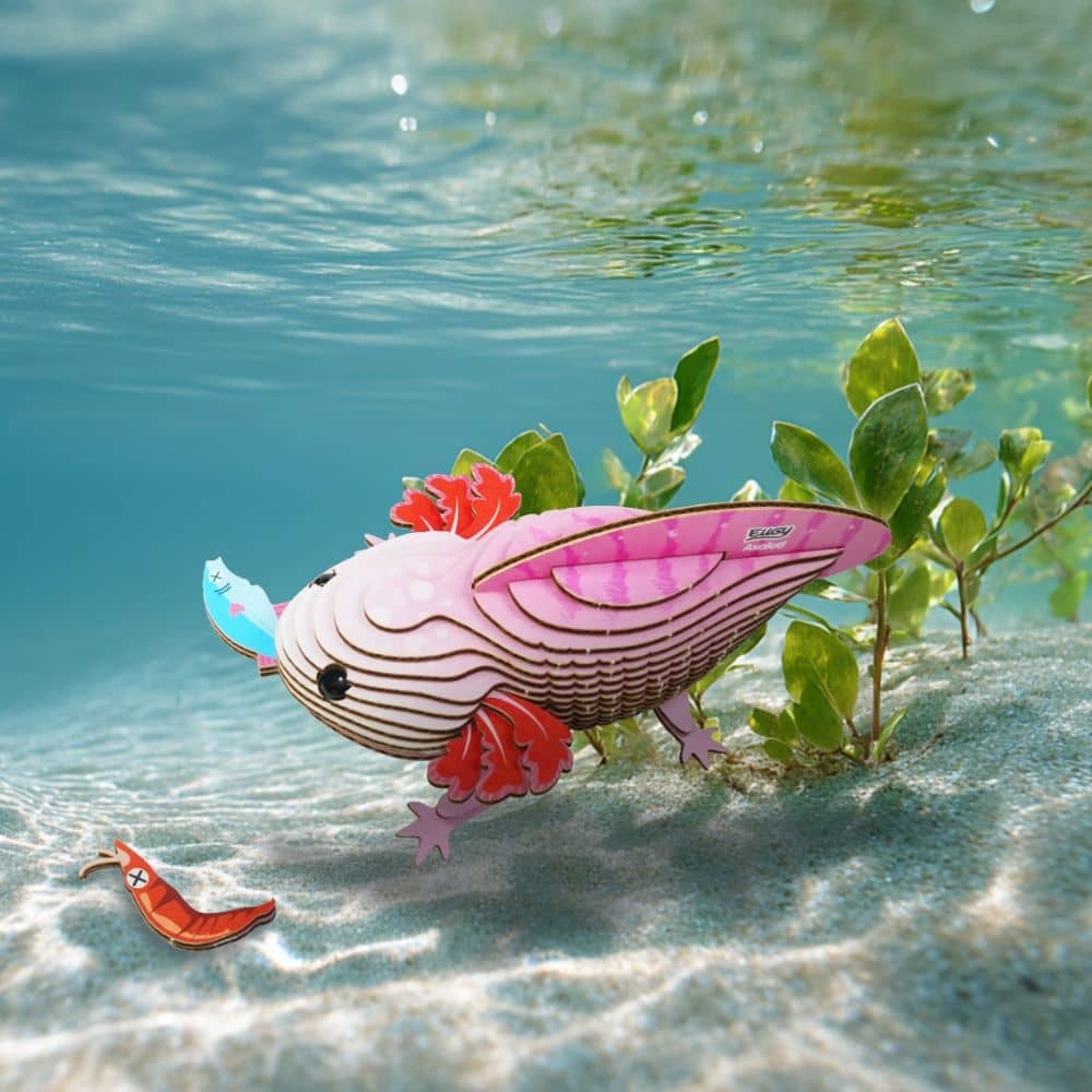 Eko-puzzle 3D – axolotl