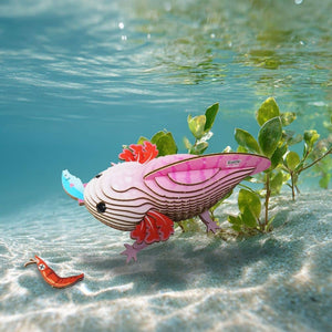 Eko-puzzle 3D – axolotl
