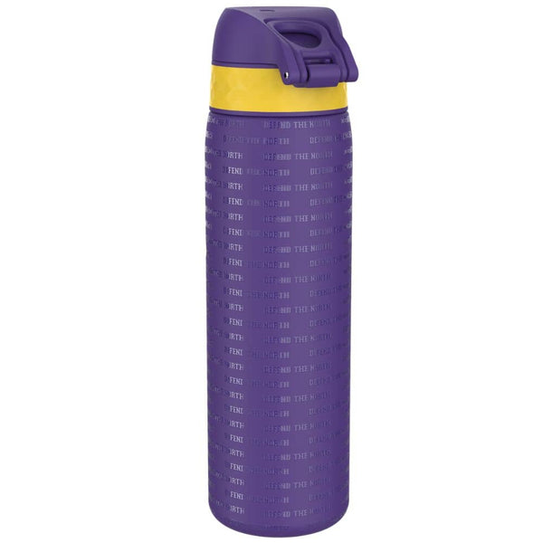 Ocelová láhev 600 ml ION8 - NFL Vikings