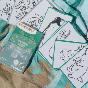 Náplňové karty – Kidydraw Mini – Zvířata světa / Oceán a piráti (60 ks)