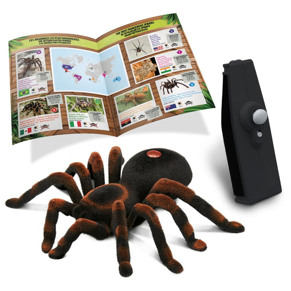 Dálkově ovládaná pavoučnice - RC tarantule červenokolená pavoučnice