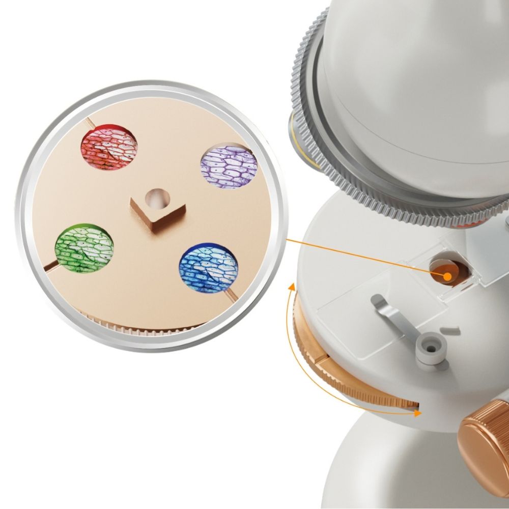 Kindermikroskop 1600x von Science Can mit Laborzubehör