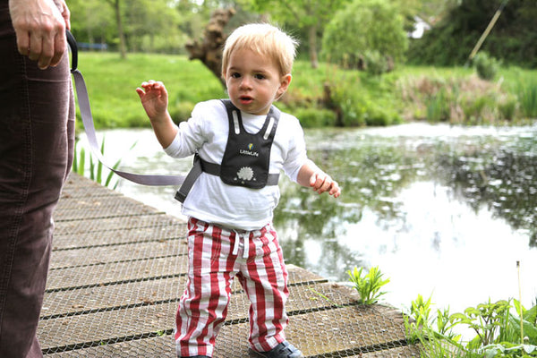 Bezpečnostní popruhy – Safety Harness