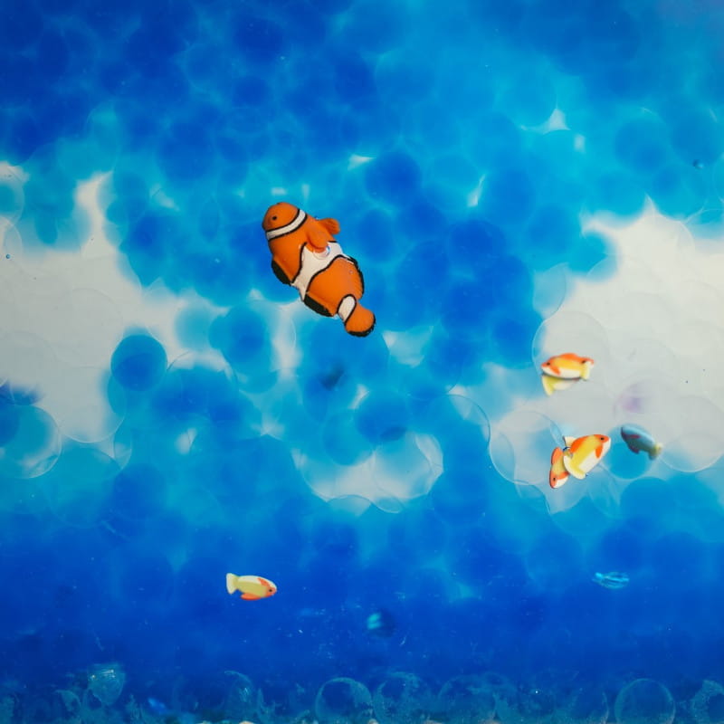 Beobachtungsflasche Fische Kinder mit bunten Wasserperlen und einem Clownfisch-Design