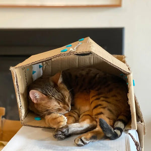 Sada nářadí pro DIY konstrukce – Discover