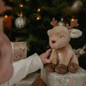 Vánoční dárková sada - hvězda, chrastítko lízátko a sob, X-MAS (od 0 měsíců)