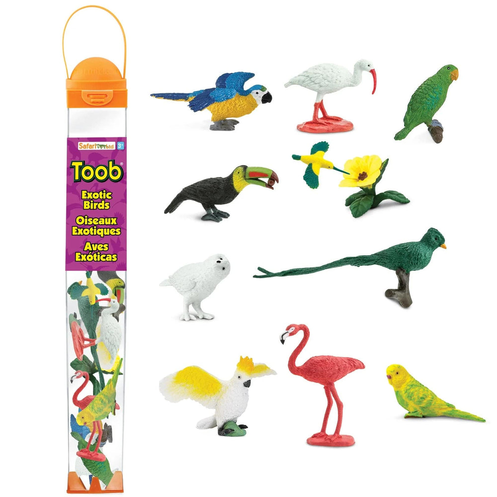 Figurenset in einer Tube TOOB – Exotische Vögel - Tublu.de