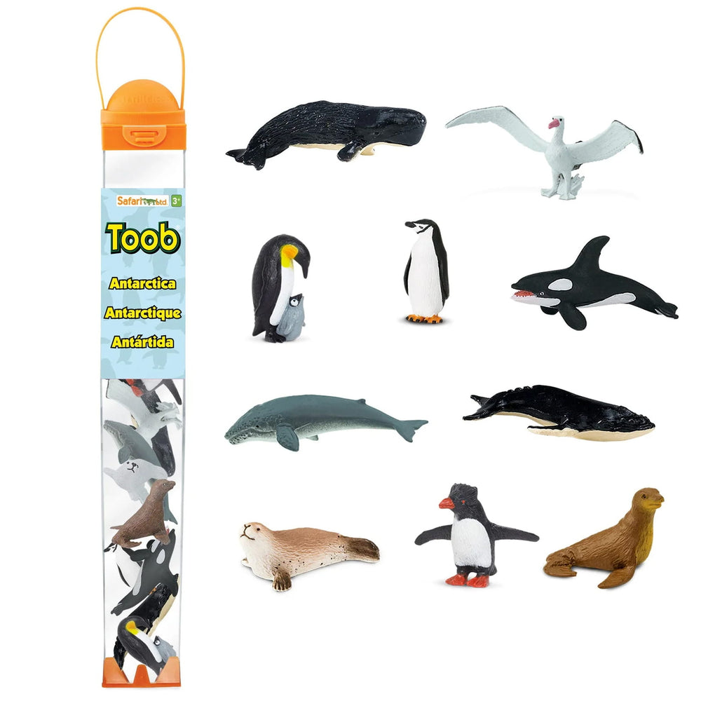 Figurenset in einer TOOB-Röhre – Tiere der Antarktis - Tublu.de