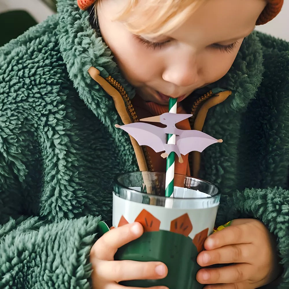 Papírová brčka, 6 kusů – Pterodaktyl