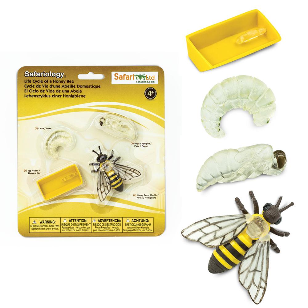 Figurenset Safariology – Lebenszyklus der Bienen - Tublu.de