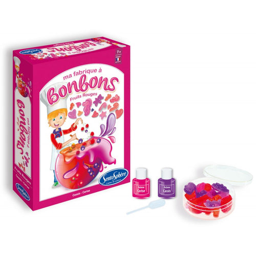 Mini továrna na bonbóny Lesní plody – DIY sada na sladkosti