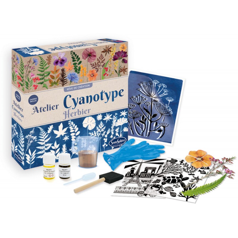Herbarium v technice cyanotypie